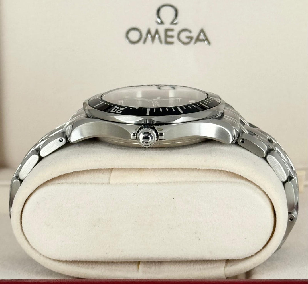 Seamaster Diver Steel