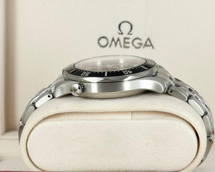 Seamaster Diver Steel