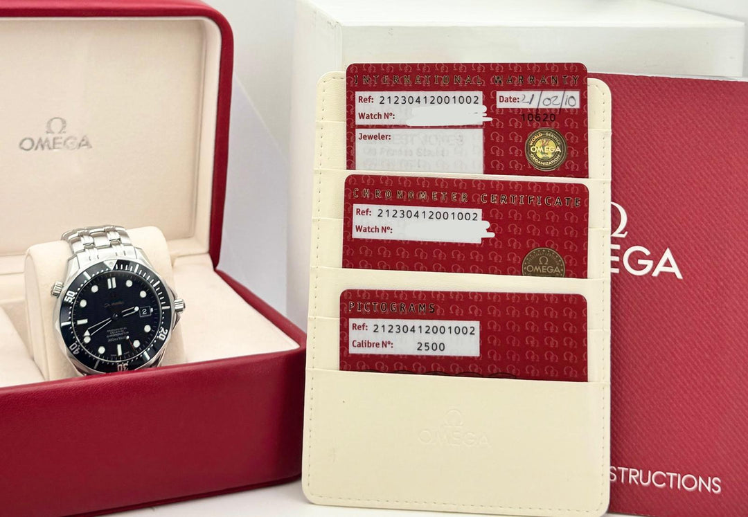 Seamaster Diver Steel