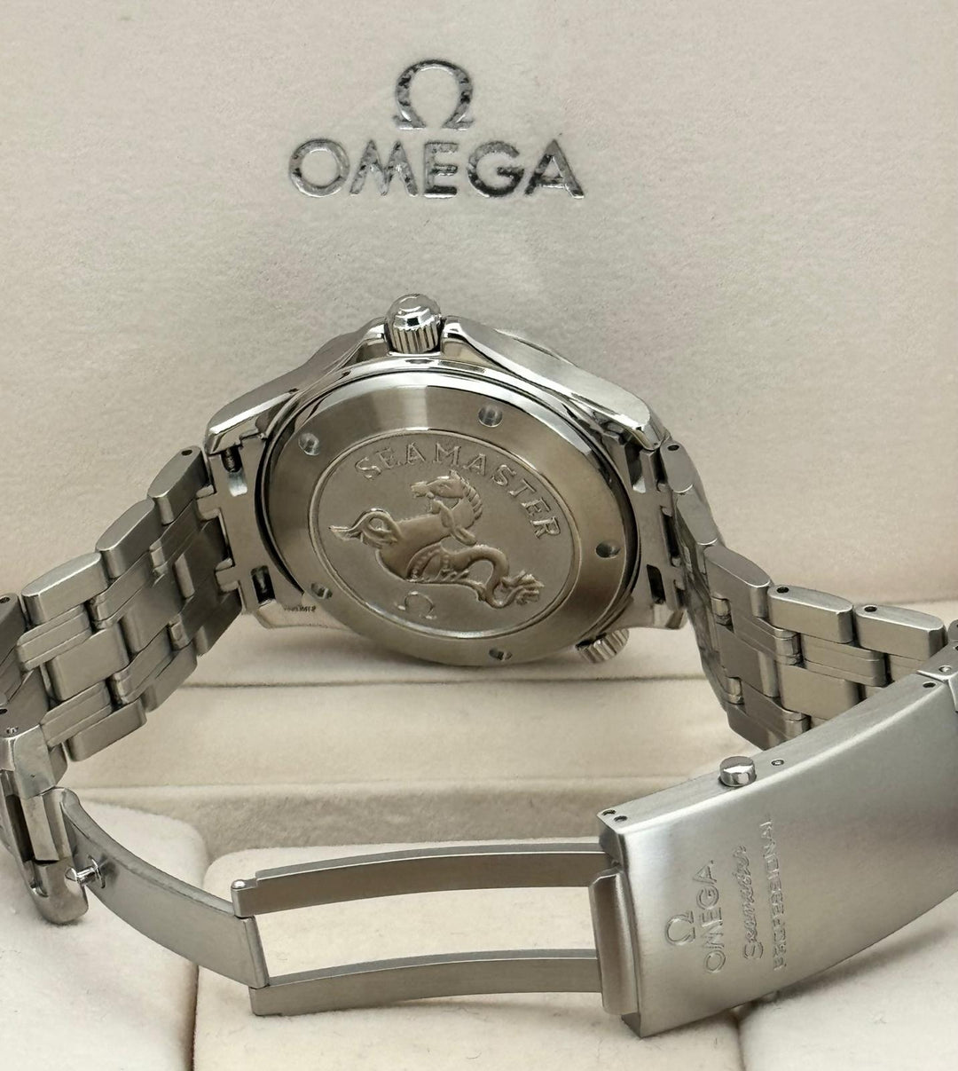 Seamaster Diver Steel