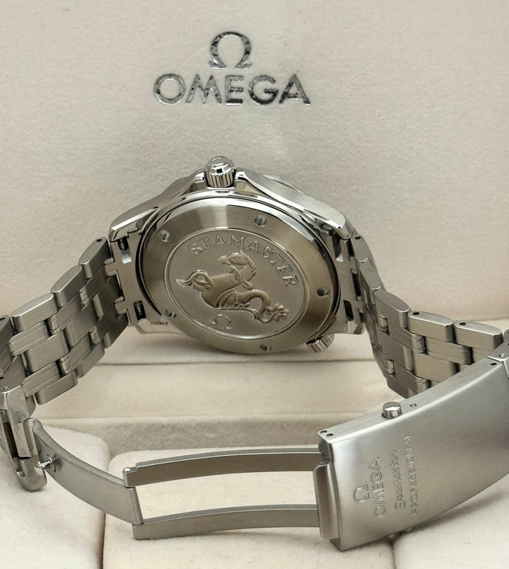 Seamaster Diver Steel