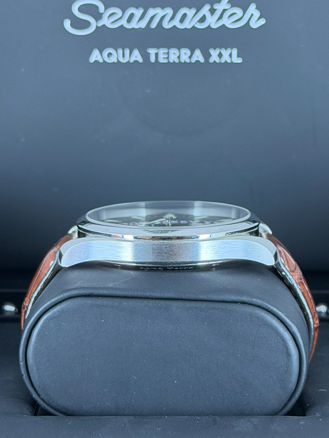 Omega Seamaster Railmaster Xxl 2009 Full Set Like New