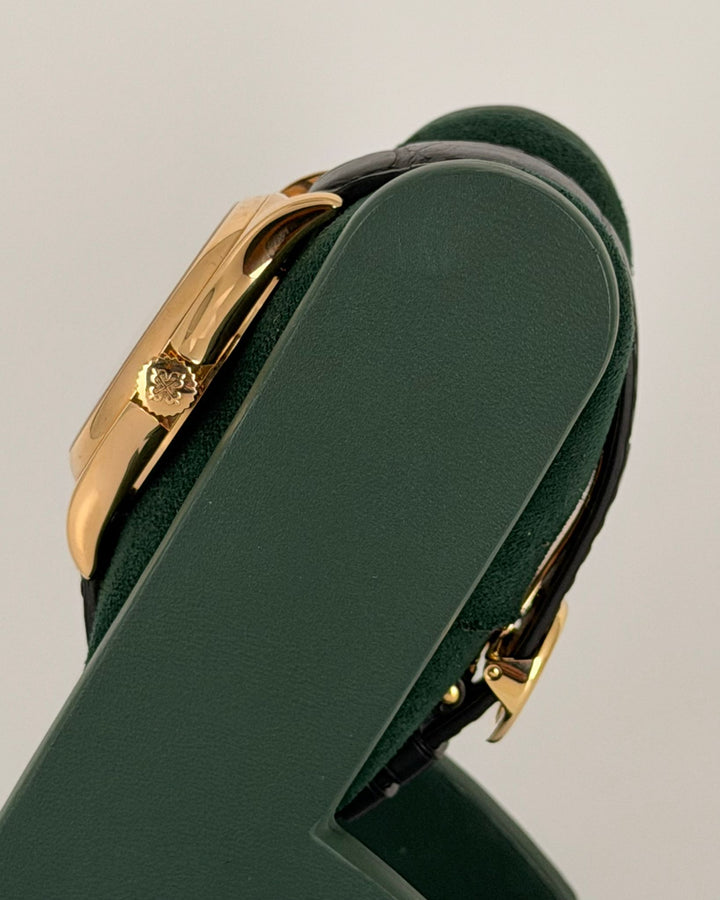 Patek Philippe World Time 5110 18k Box and Papers Long Deployment PP Buckle